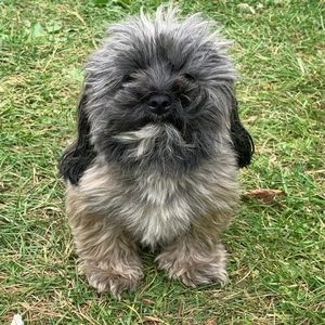 Meet your Posher, Olan